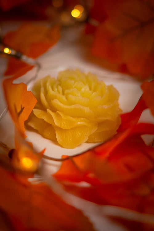 Beeswax Flower