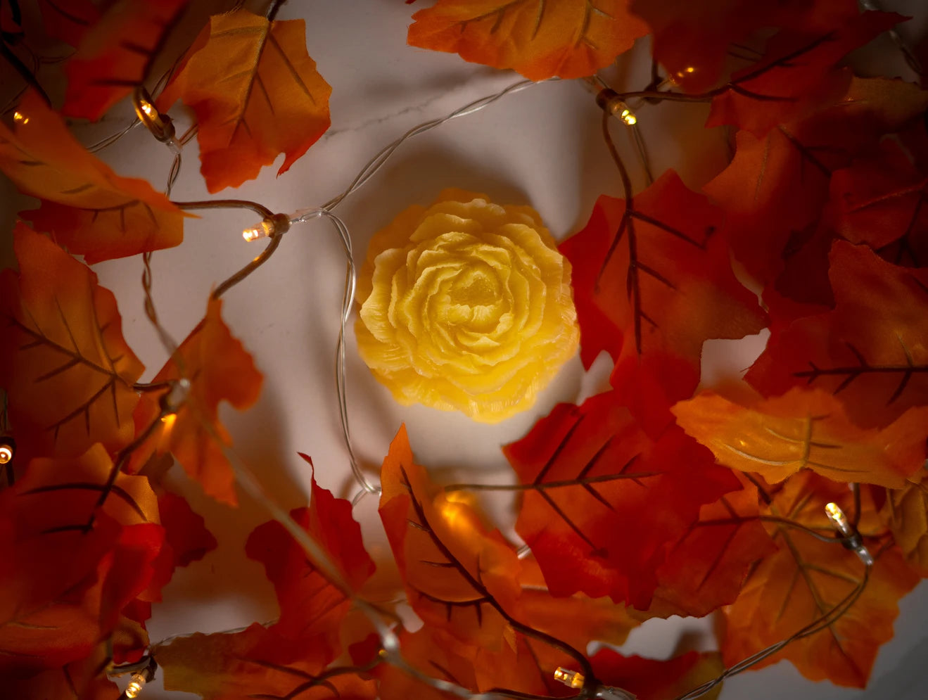 Beeswax Flower