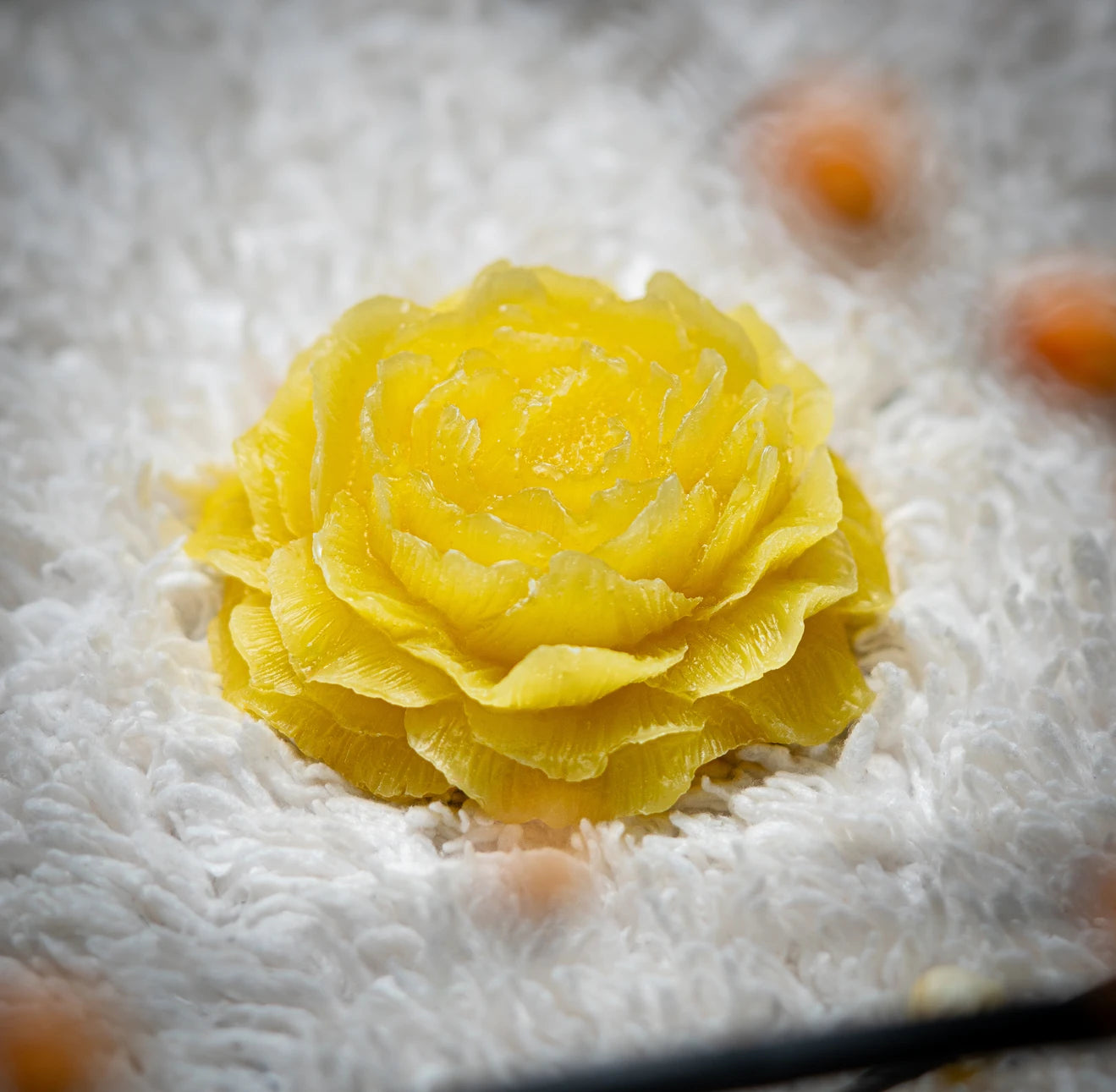 Beeswax Flower